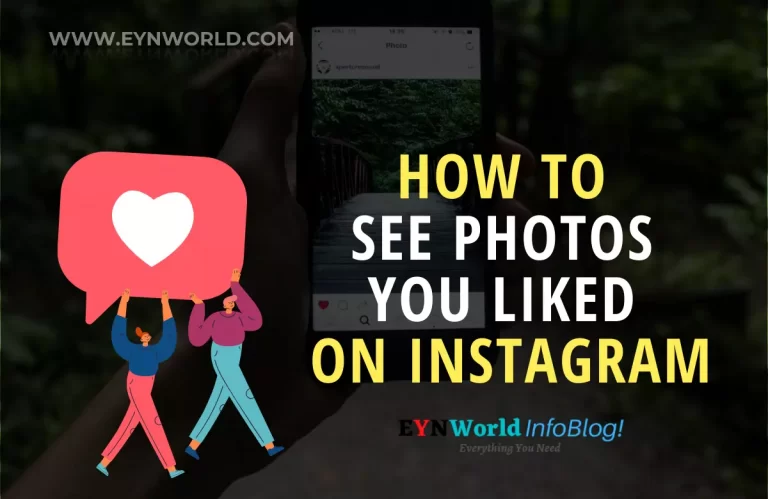 See Photos You Liked On Instagram | Easiest Way in 2022