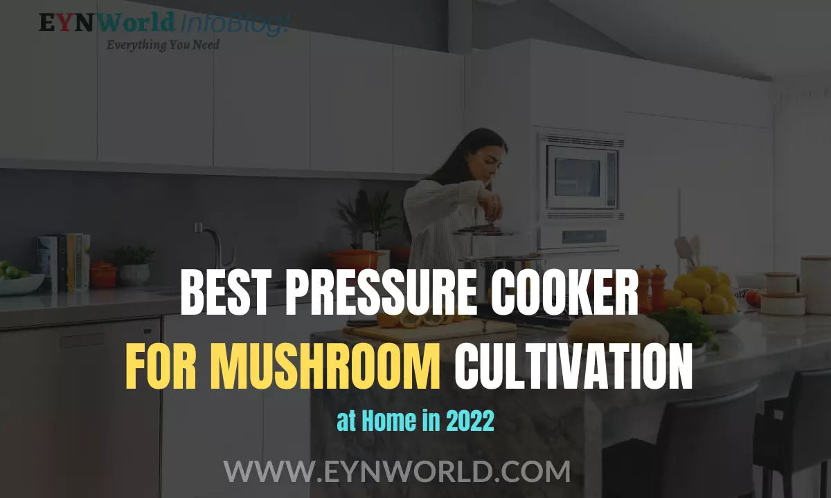 Best Pressure Cooker for Mushroom Cultivation